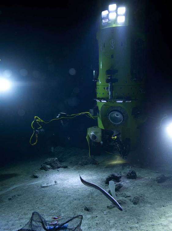 Deep Sea Trenches