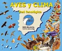 Aves y clima