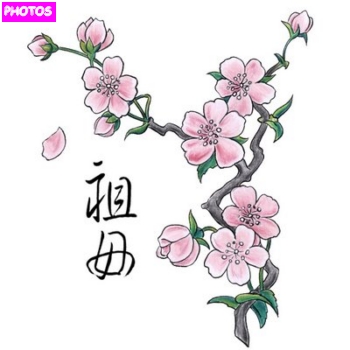 Cherry Blossom Tree Drawing | Cherry Blossom Tree