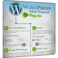 En popüler 30 WordPress eklentisi
