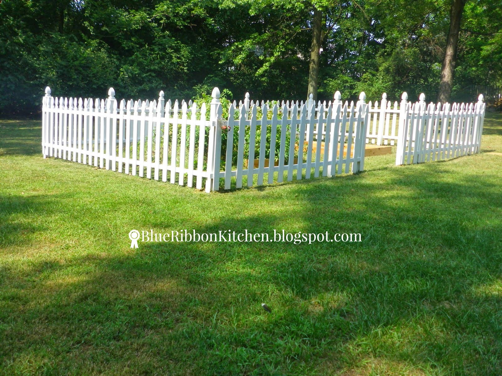 Blue Ribbon Kitchen: 20 Inspiring Backyard Garden Ideas!