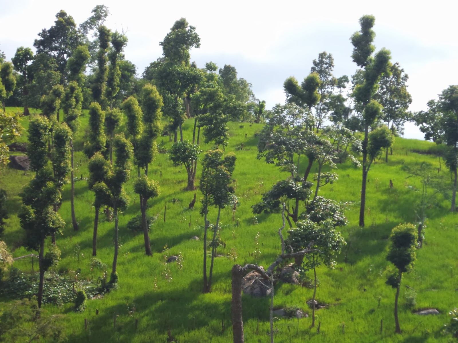 Rongphar hemtun Fascinating Karbi Anglong