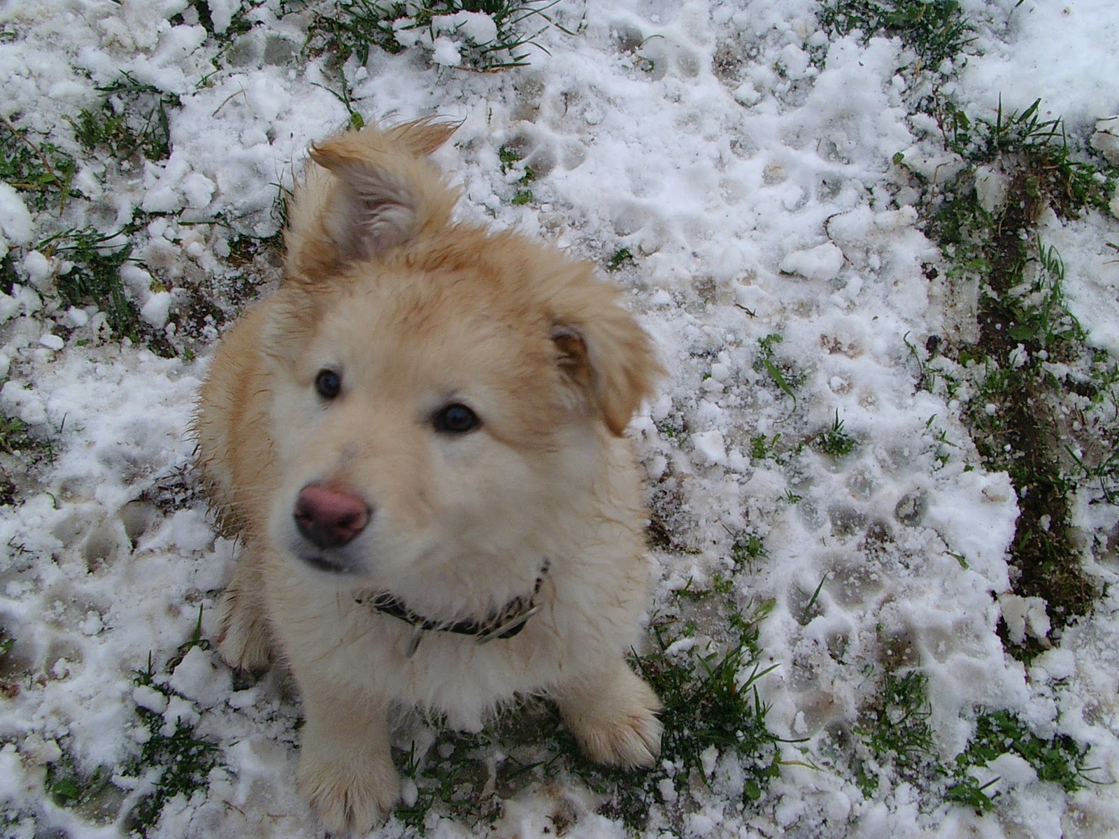 Ejemplos De Mecanica Cuantica En La Vida Diaria