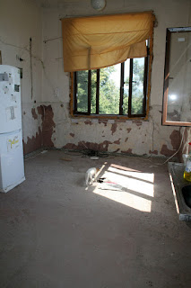 Empty apart from the fridge Empty apart from the fridge