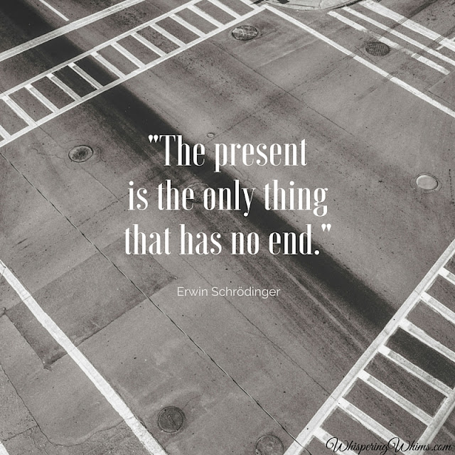 The present is the only thing that has no end | Erwin Schrödinger | Whispering Whims