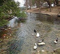 At the Pond