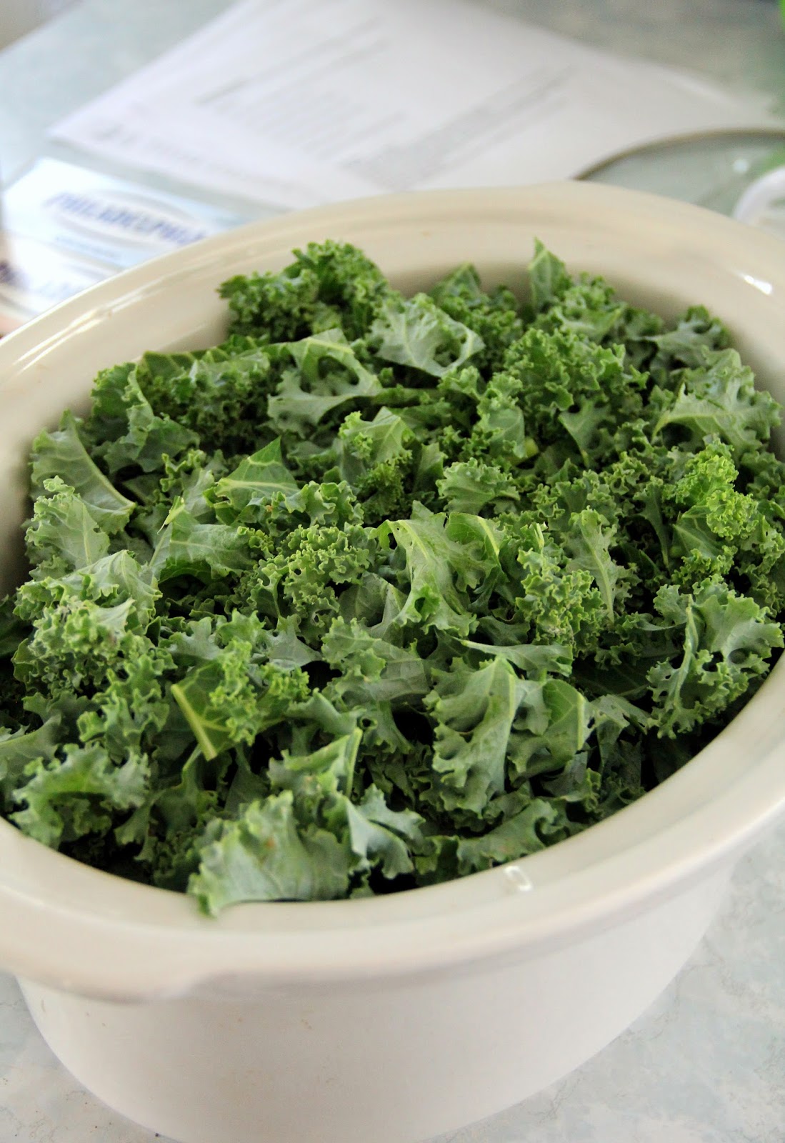 Jo and Sue Kale Artichoke Dip (Crock Pot)