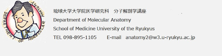 琉球大学大学院医学研究科　分子解剖学講座　　