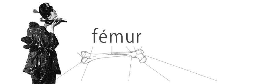 fémur