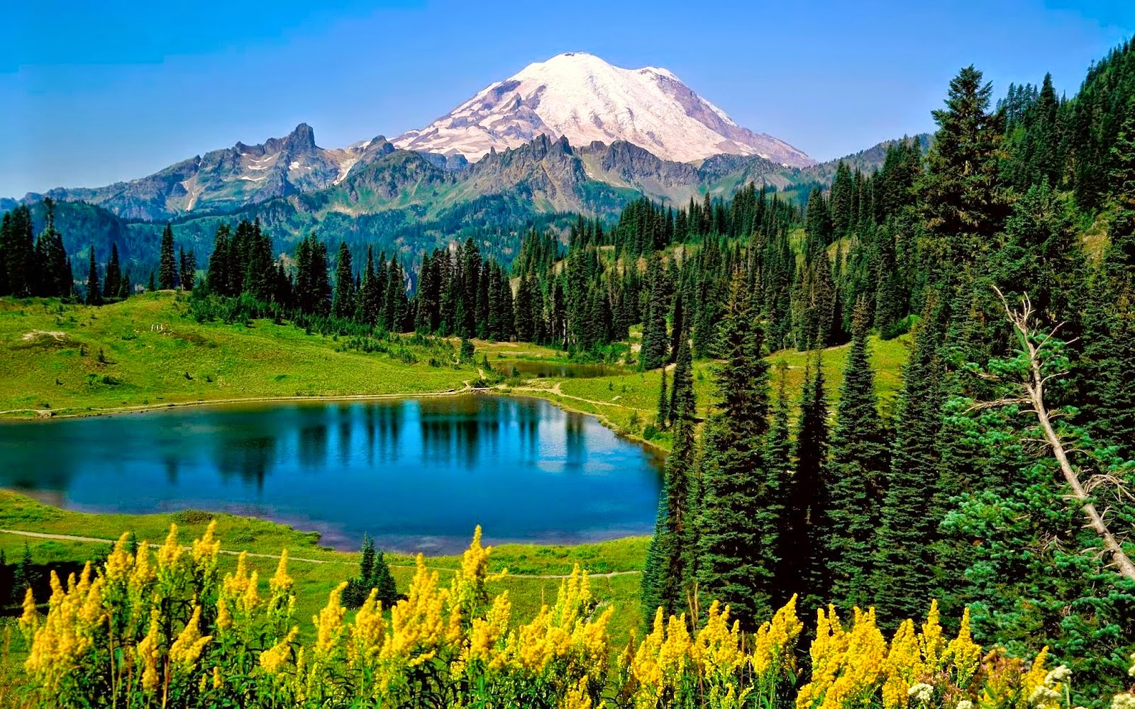 HD Wallpapers: Amazing HD Wallpapers