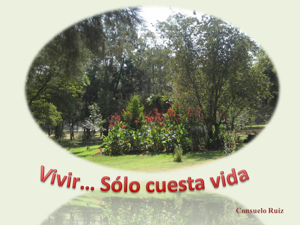 AQUÍ ENTRE NOSOTROS Arriesgarse a Vivir... Solo Cuesta Vida