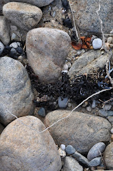 Montauk Beach Sand