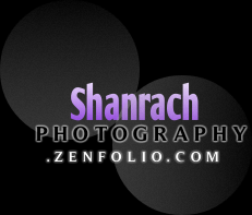 All Access Shanrach Photography