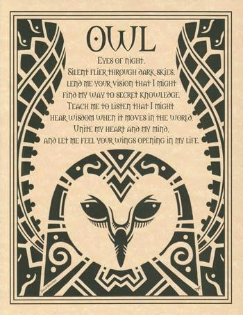 Tarot Mom: Owl & Raven; Common Totem Birds for Witches & Pagans