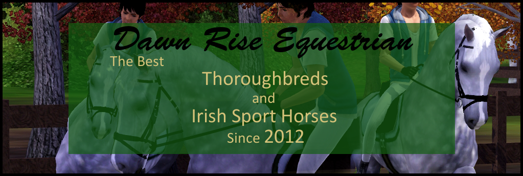 Dawn Rise Equestrian