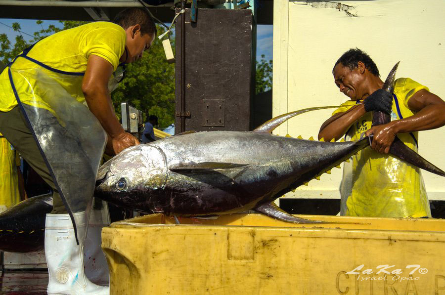Gensan, Tuna Pride of the Philippines >>> Lakat
