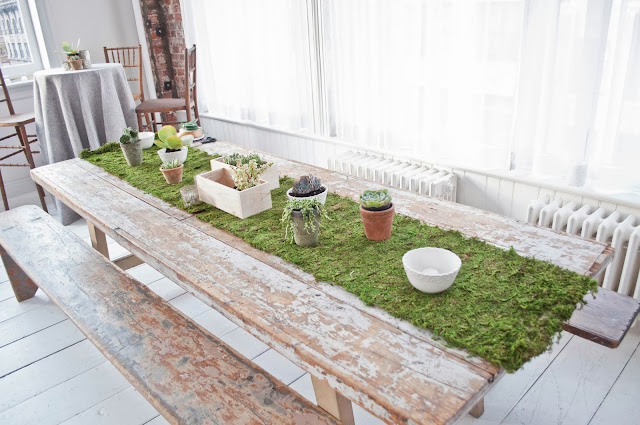A Model Wedding, still life of succulents and moss arrangement on display