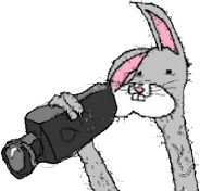 [Bild: Bogs+camera.PNG]