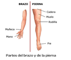 A la eccema es posible trabajar