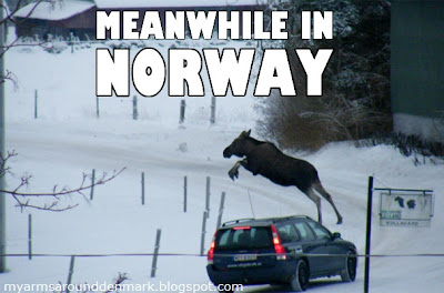 meanwhile_in_norway_nel_frattempo_in_norvegia+%25284%2529.jpg