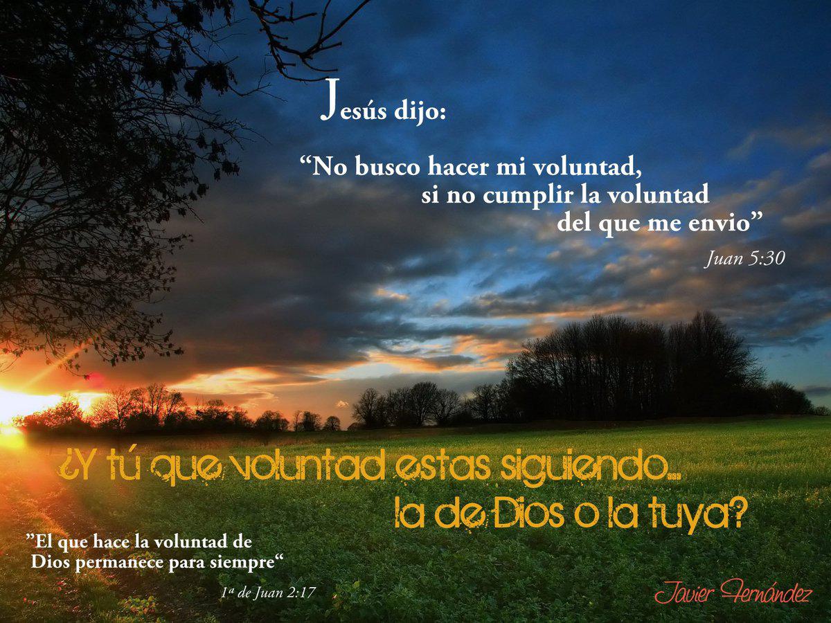 CARTAS,HISTORIAS Y VIVENCIAS DE LA VIDA Y EL AMOR. CARTA A LA VIDA Y A