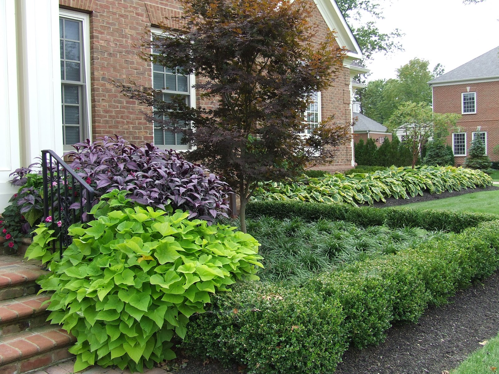 White Swan Properties Blogspot Boxwoods For Ontario Landscapes