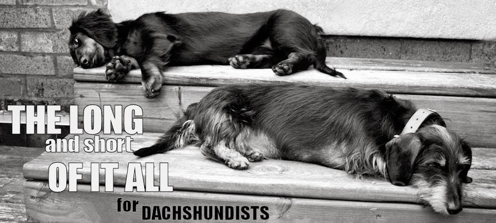 The Long and Short of it All:  A Dachshund Dog News Magazine