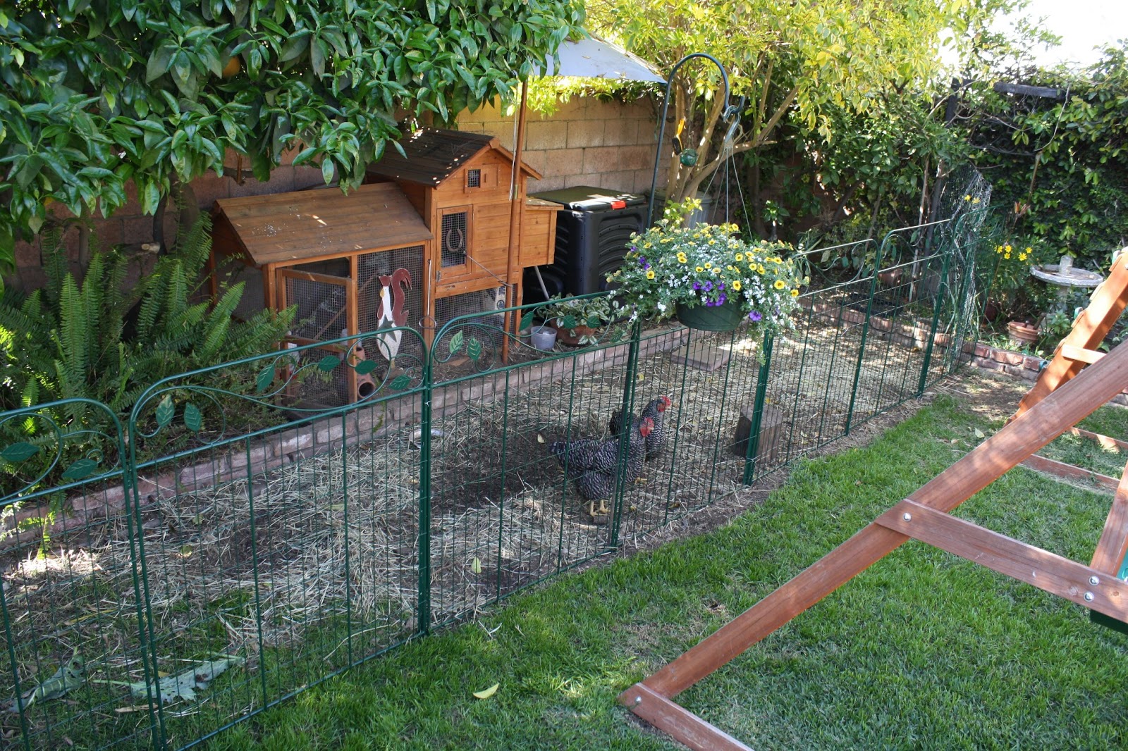Sunny Simple Life: The New Chicken Fence