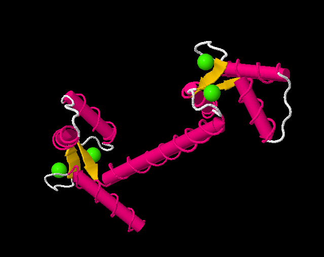 Calmodulin