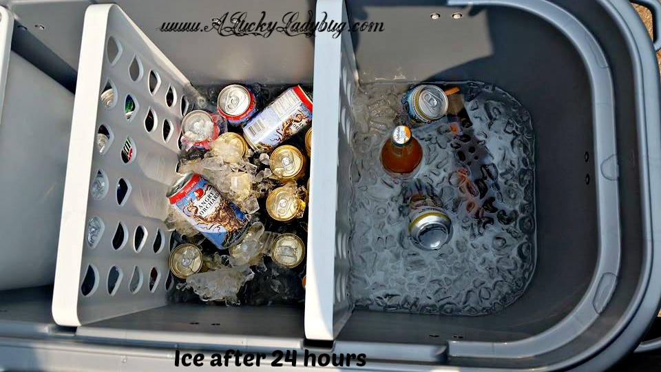 A Lucky Ladybug Party Hard w/ Igloo® Party Bar™ Review