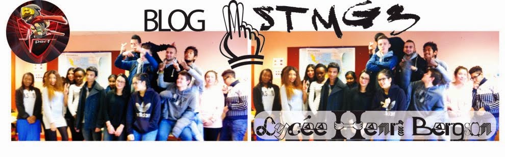 Blog Science de Gestion 1STMG 3 - Lycée Henri Bergson Paris