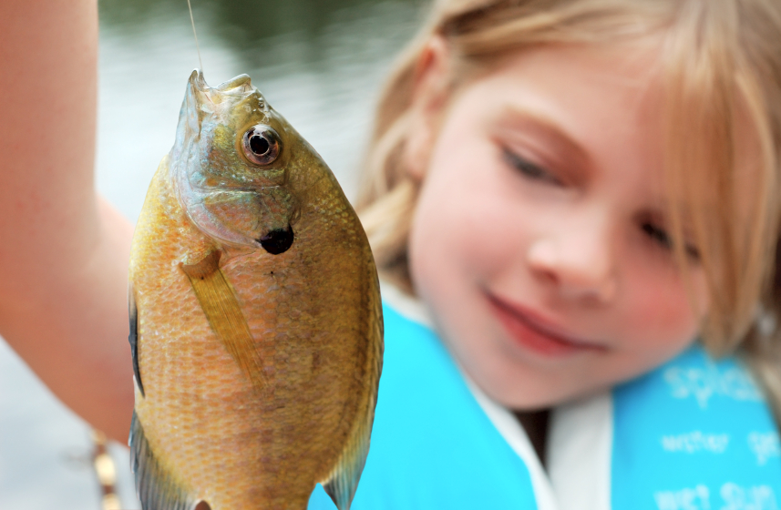 AMC's Great Kids, Great Outdoors: Should I Eat the Fish I Caught?: A