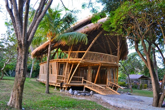 Bambus Deutschland Bambus Garten