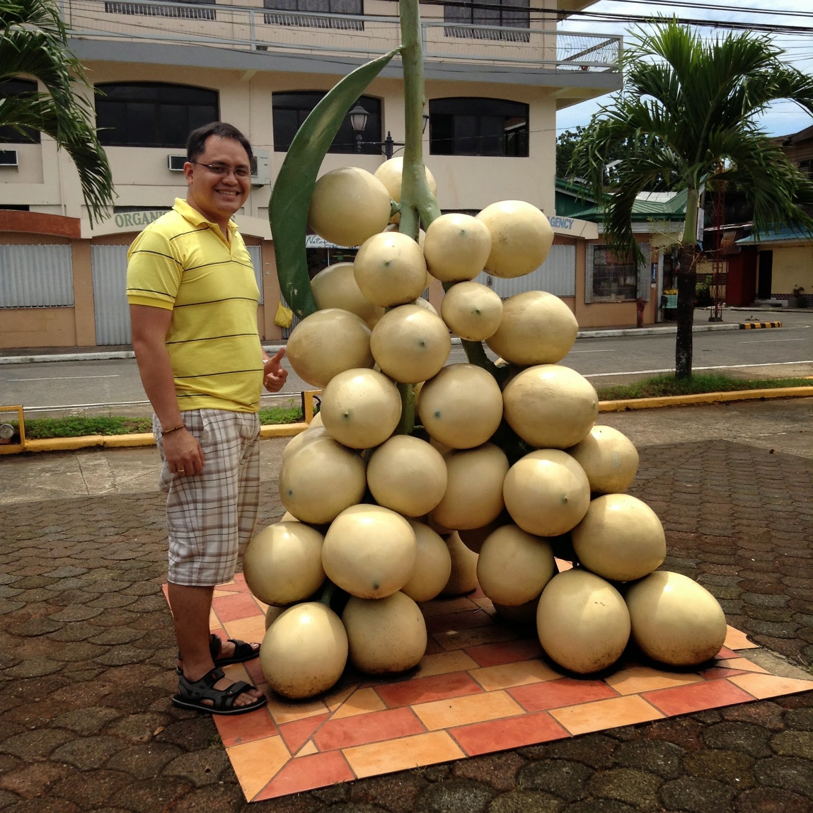 Giant Fruits at Gingoog City Plaza Prohealthlaw