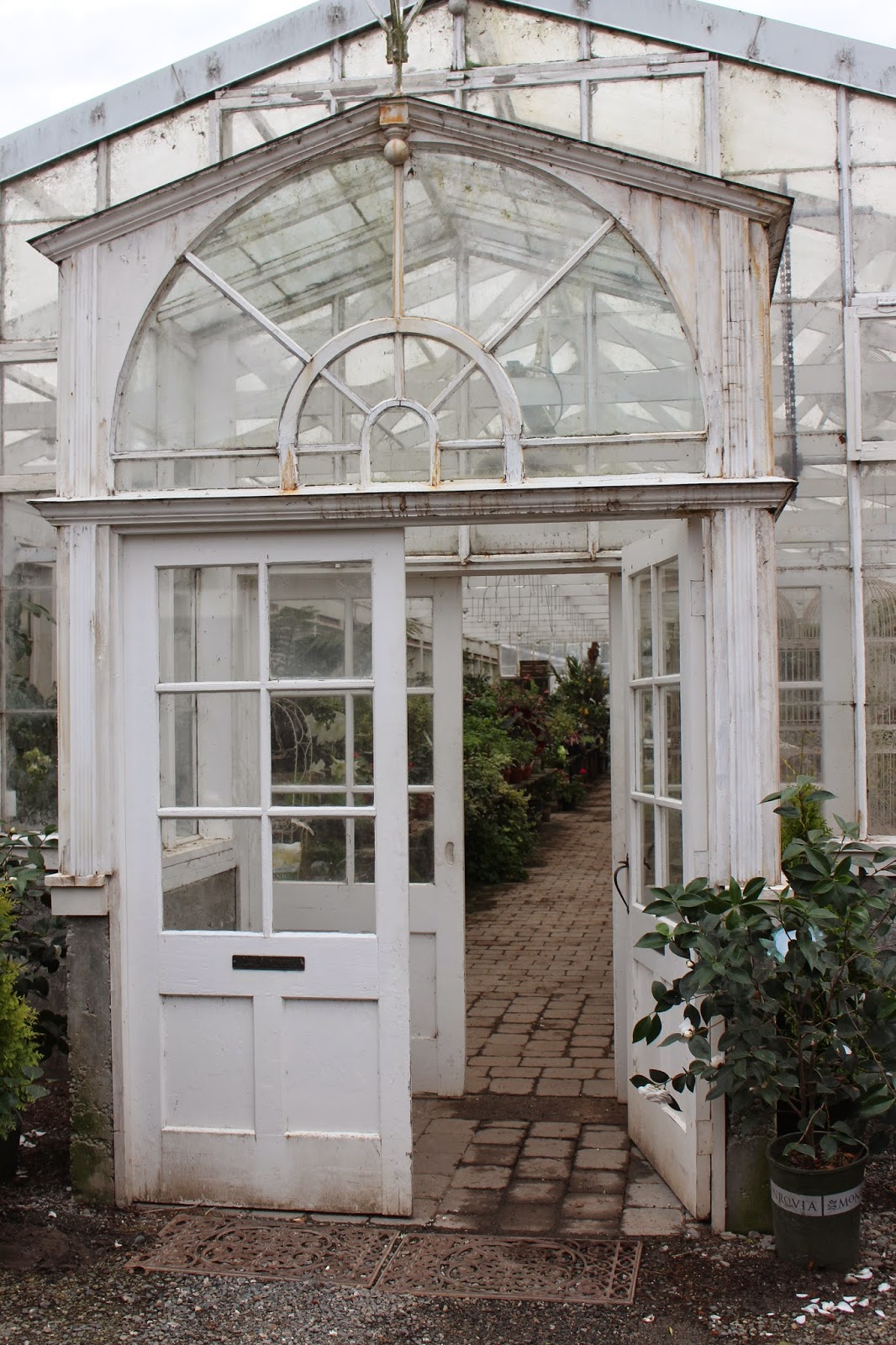 Rooted In Thyme Christianson's Nursery in Mt. Vernon, Washington and Simple & Sweet Fridays 157