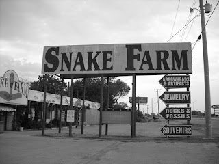 snake farm texas arrowheads artifacts fossils souvenirs roadside tourist 