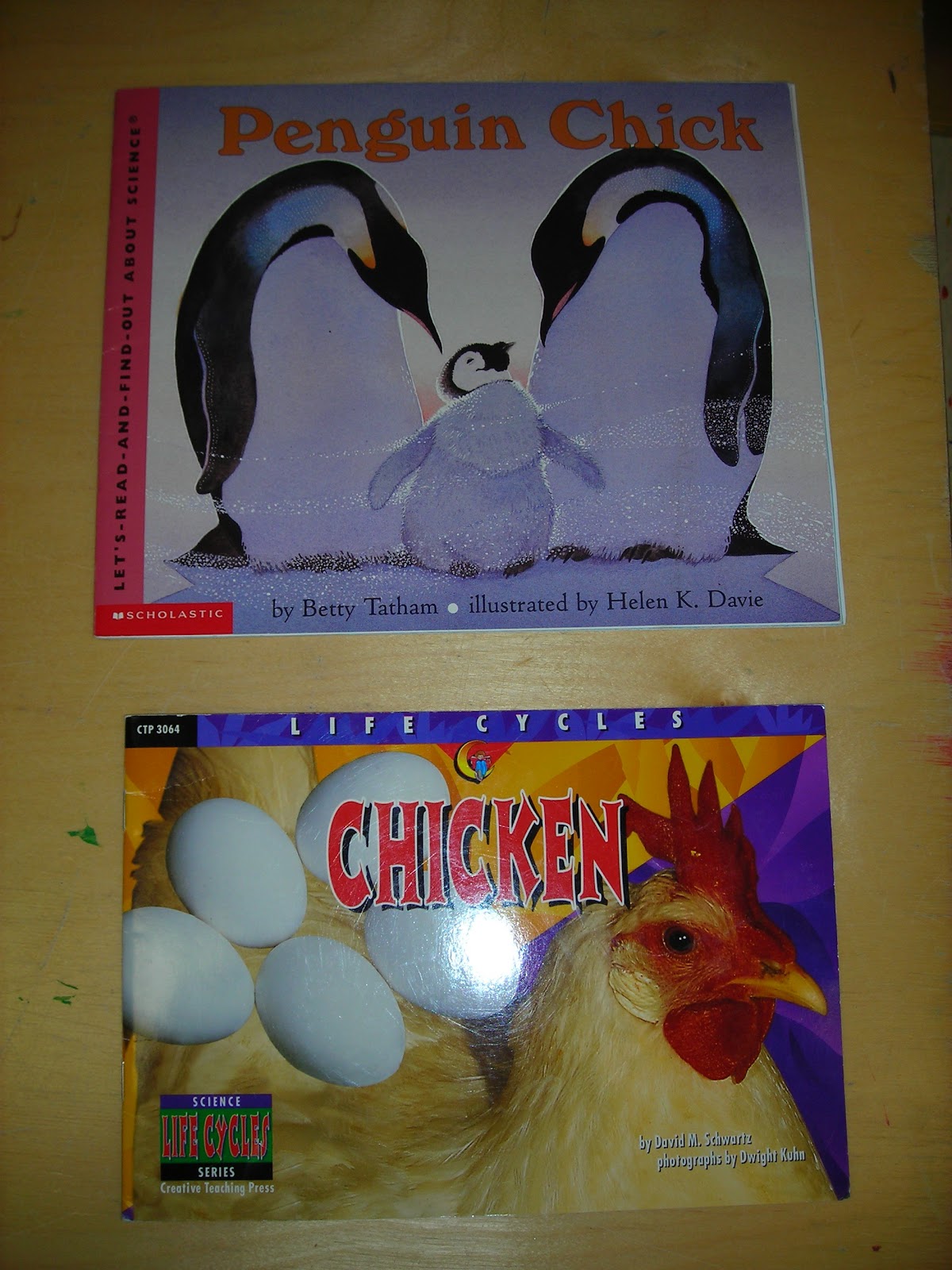 Penguin Chick Book