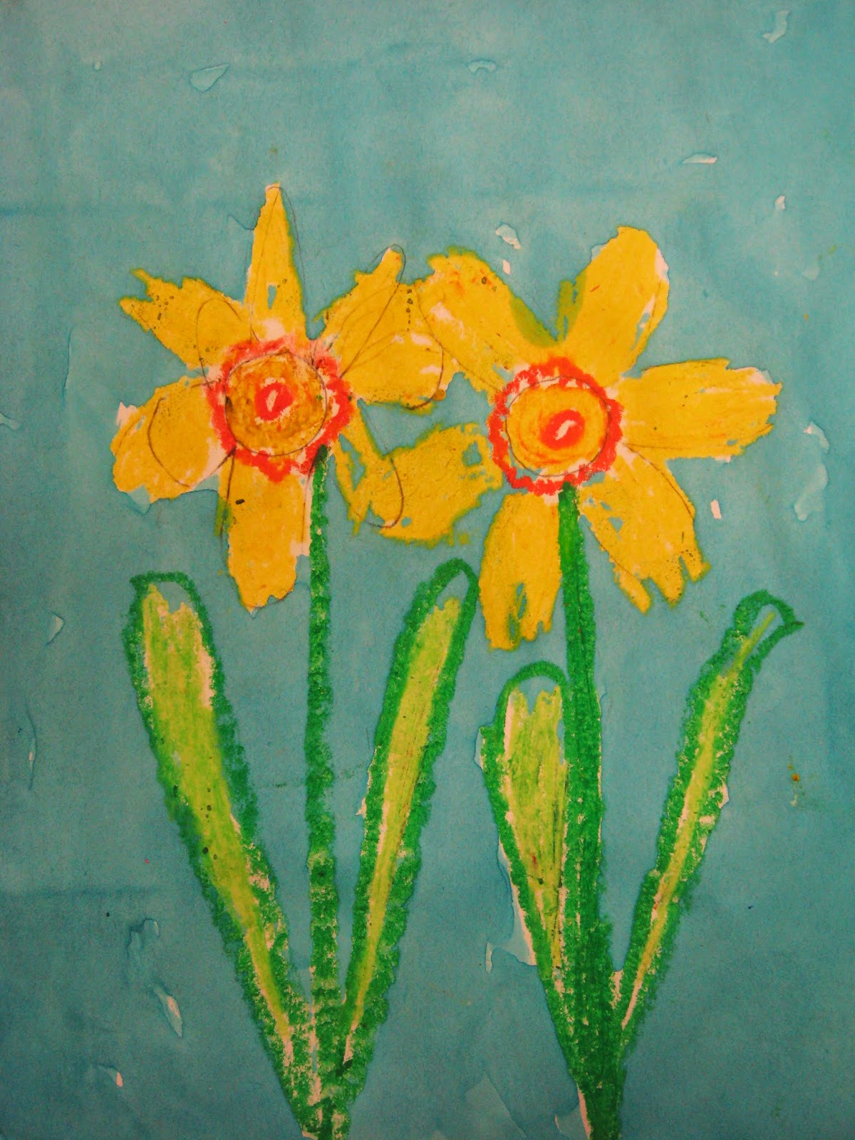 Miss Young's Art Room 1st Grade Daffodils