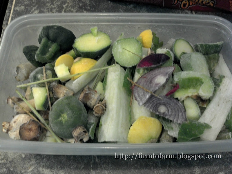 Every Last Drop Easy, Homemade Vegetable Broth Urban Earthworm