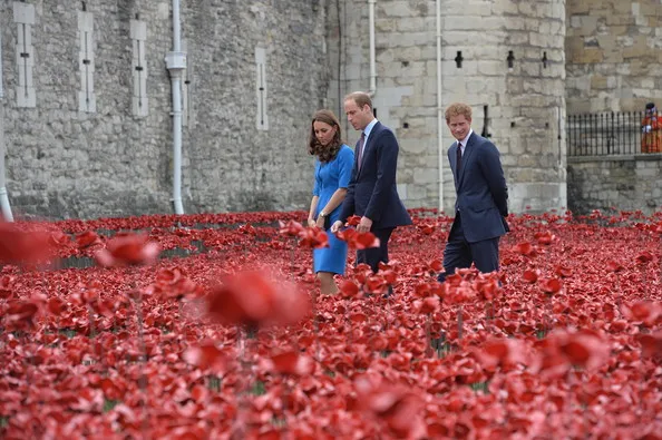 Tower of London's 'Blood Swept Lands and Seas of Red' poppy installation in the Tower of London