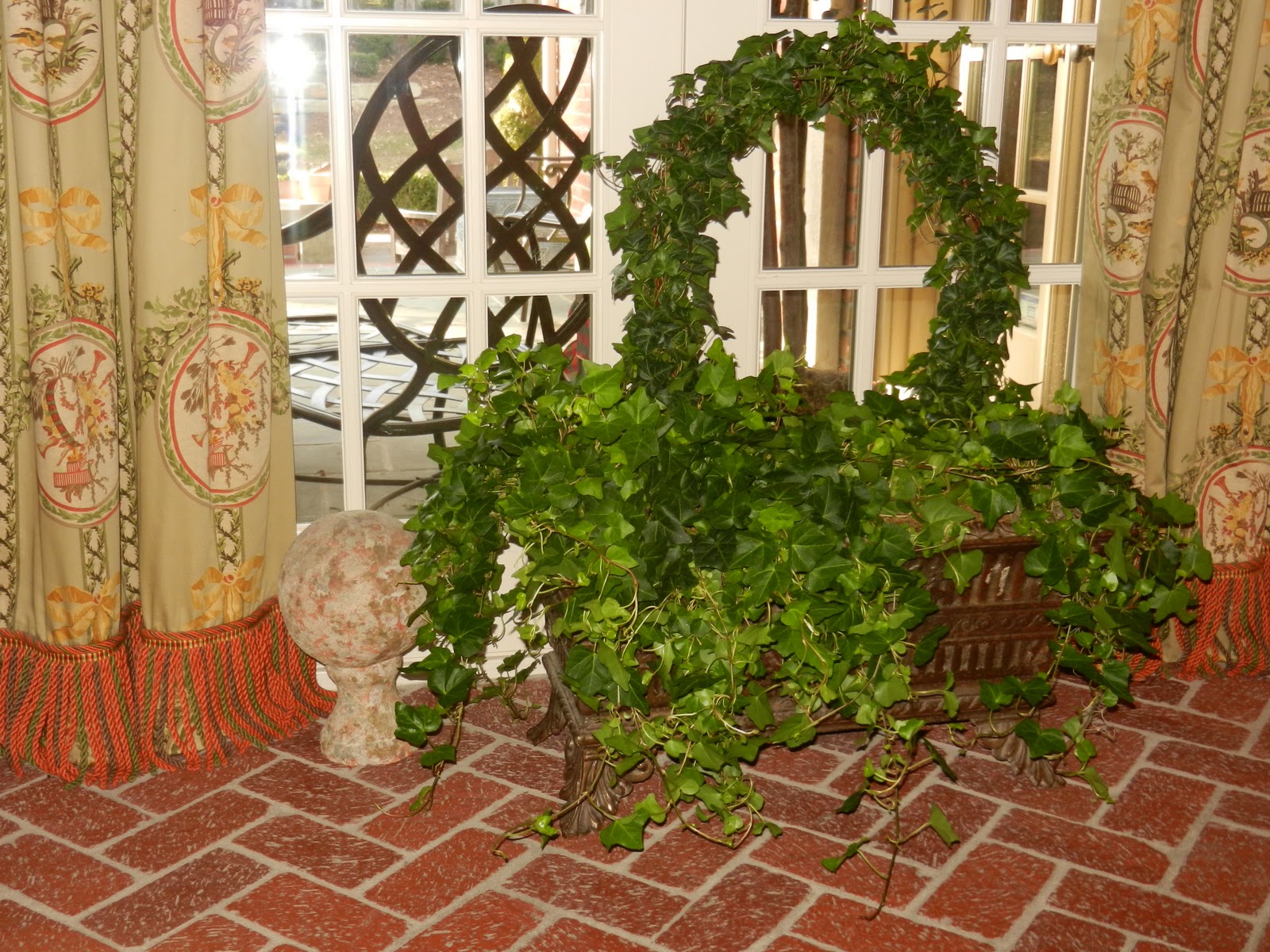 The French Tangerine ivy, green ivy