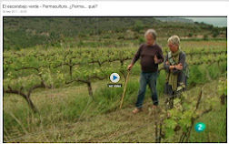 El escarabajo verde - Permacultura. ¿Perma... qué?