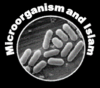 Microorganism - Islam