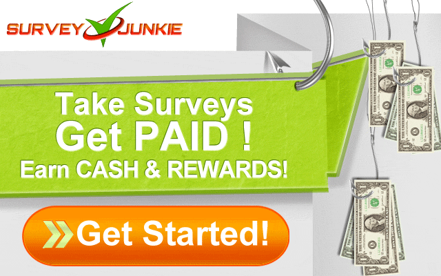 SurveyJunke