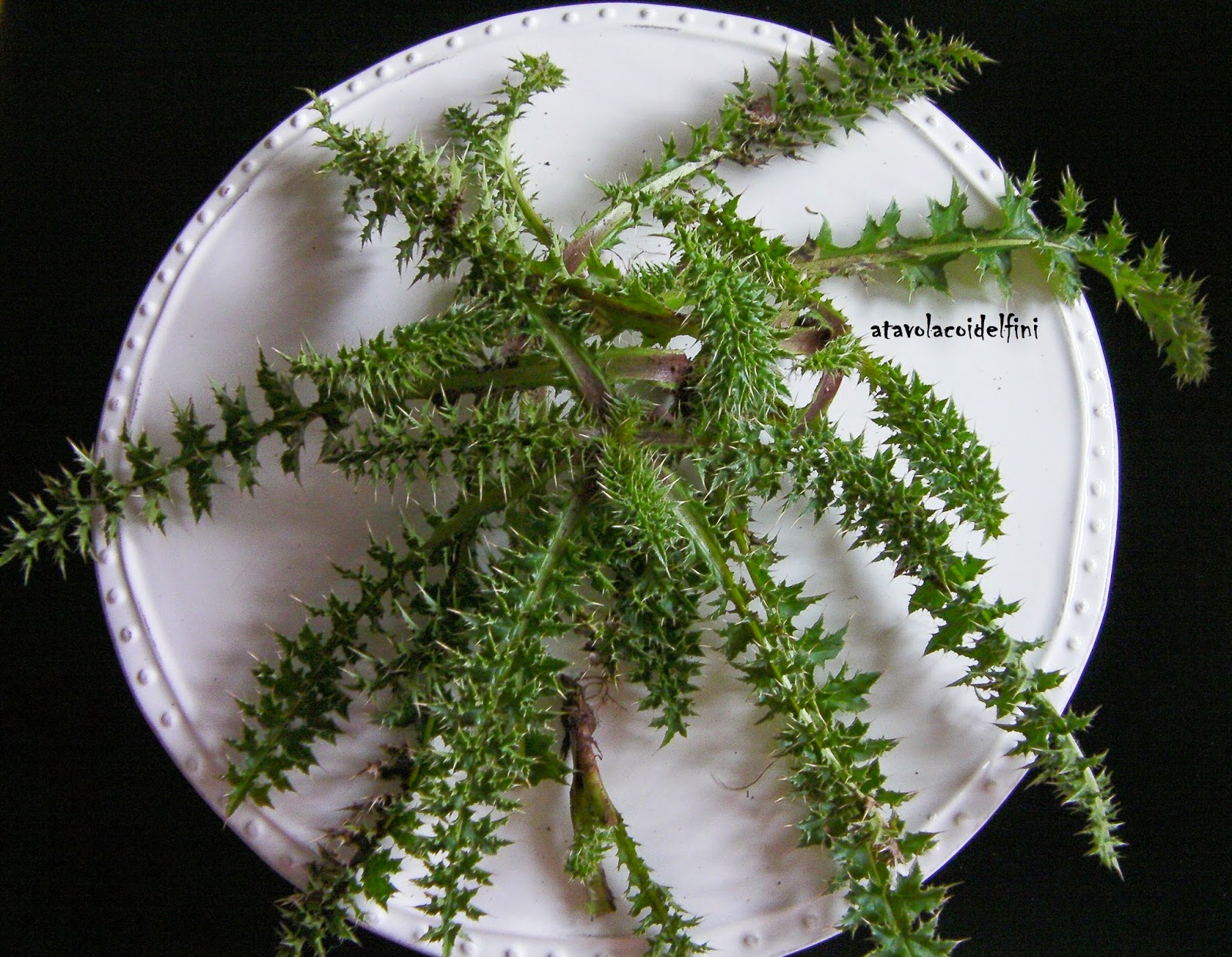 Cardoncelli in brodo di polpette di carne con canestrato e pane tostato