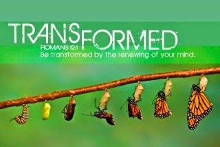 Trust in God - The Turtle's Voice: The Same Shall Judge