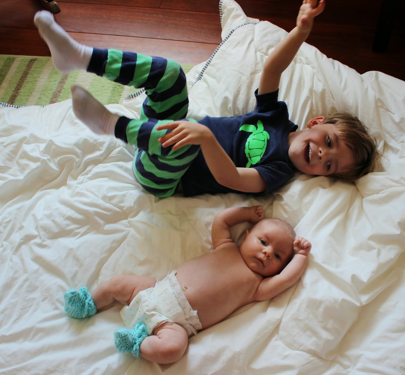 Honest diaper free trial DISCLAIMER: Content on this site is not a substitute for professional medical or healthcare advice, diagnosis, treatment, dietary, or safety advice, and may not be used for such purposes.