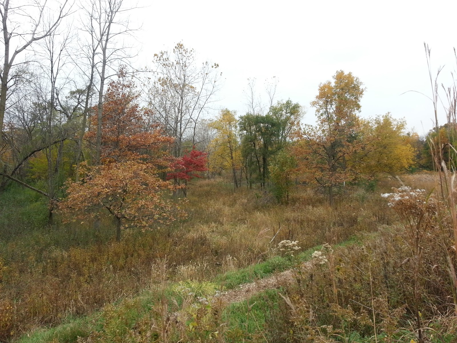 The Chicago Real Estate Local Peterson Park and the Nature Center at North Park Village (plus