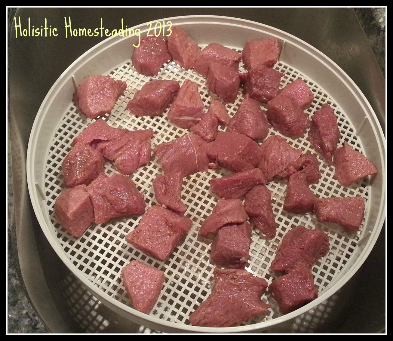 Holistic Homesteading Dehydrator Recipe South African Biltong