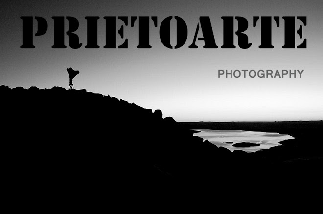 PRIETOARTE